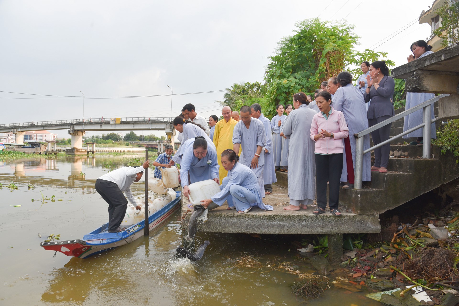 Chanting sutra, releasing creatures to pray for peace in Tan Thanh, Long An by the Charity Board